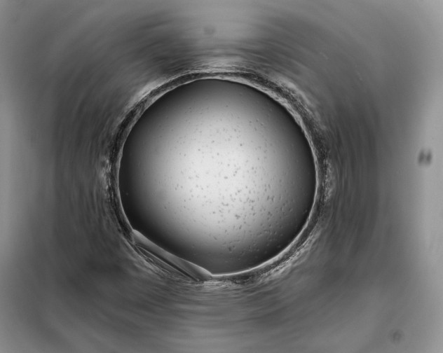 X0000098051449200804111300