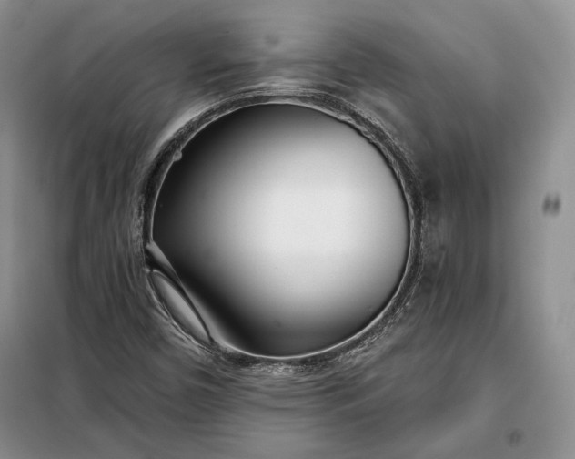 X0000098051450200804111300