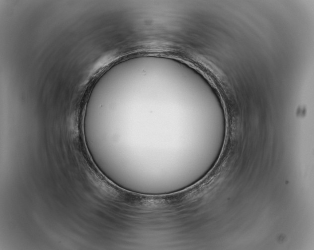 X0000098051451200804111300