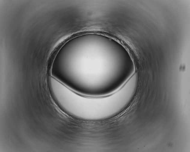 X0000098051452200804111300