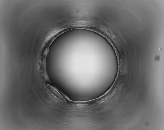 X0000098051453200804111300