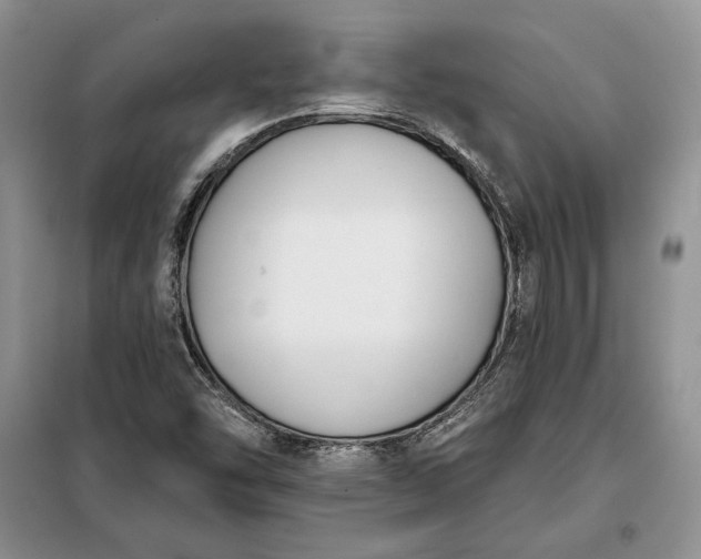 X0000098051454200804111300