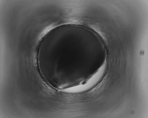 X0000098051455200804111300