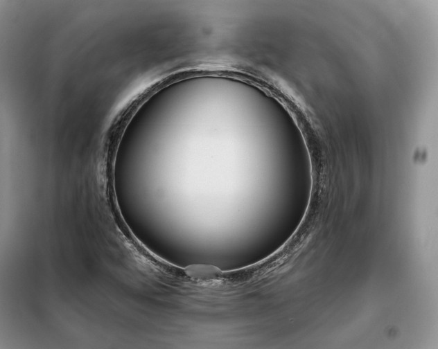 X0000098051456200804111300