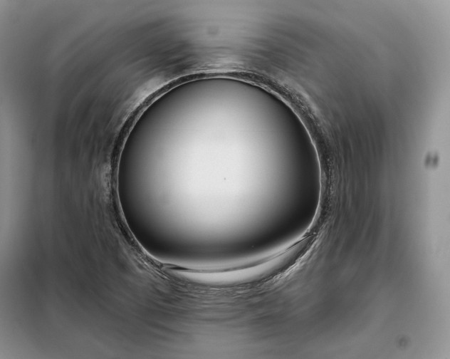 X0000098051457200804111300