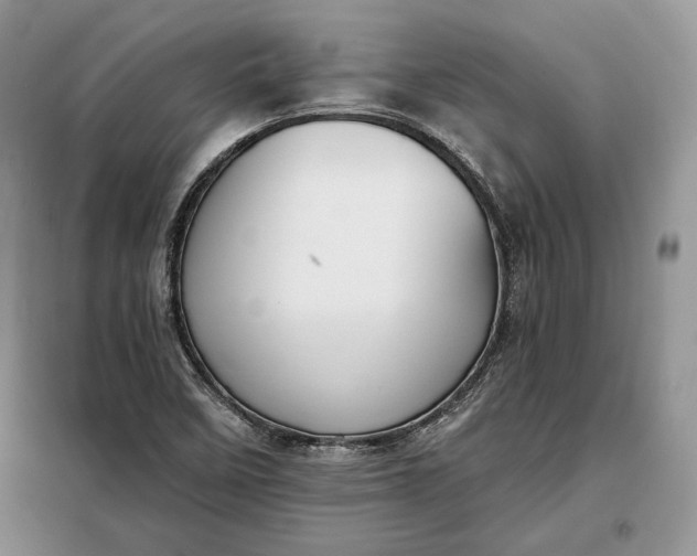 X0000098051458200804111300