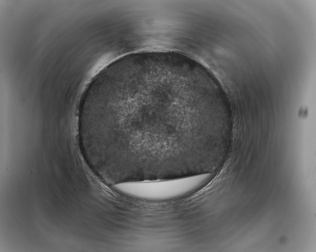 X0000098051459200804111300