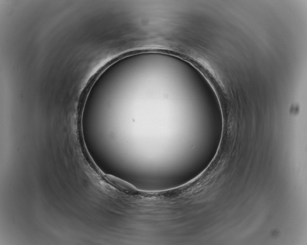 X0000098051460200804111300