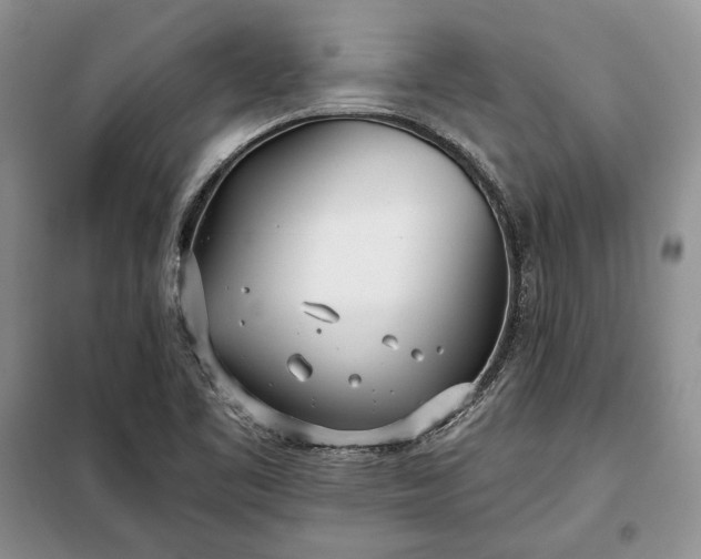 X0000098051461200804111300