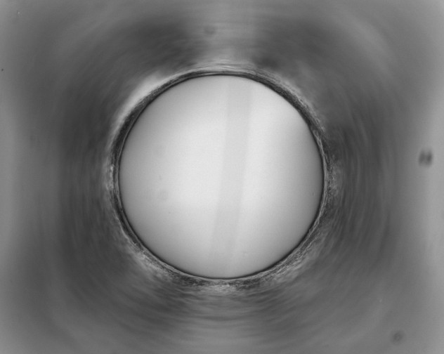 X0000098051462200804111300