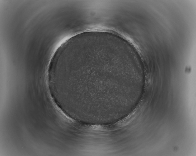 X0000098051463200804111300