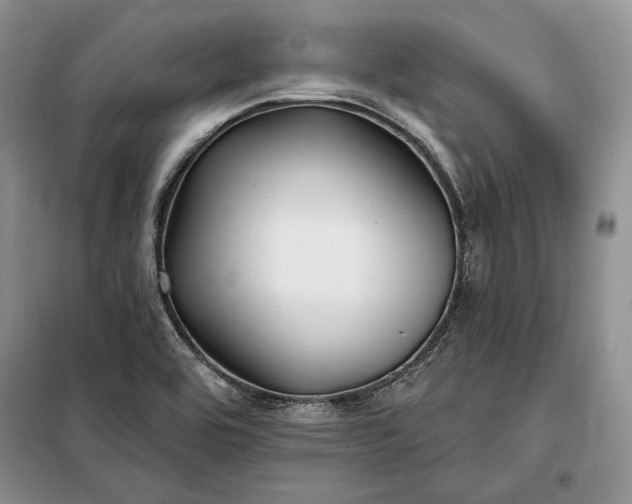 X0000098051464200804111300