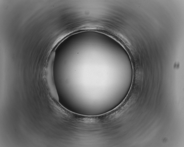 X0000098051465200804111300