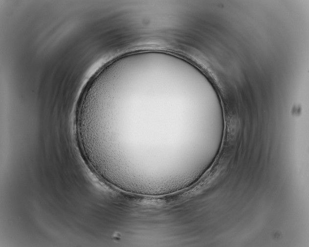 X0000098051466200804111300