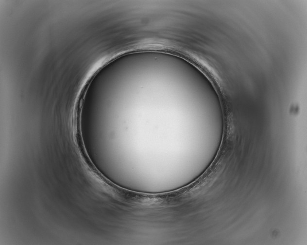 X0000098051467200804111300