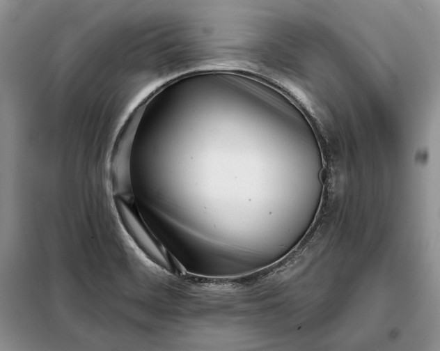 X0000098051468200804111300