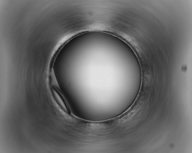 X0000098051469200804111300