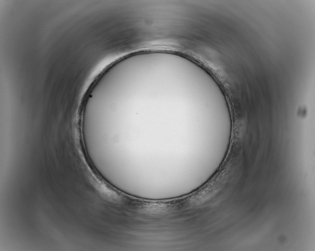 X0000098051470200804111300