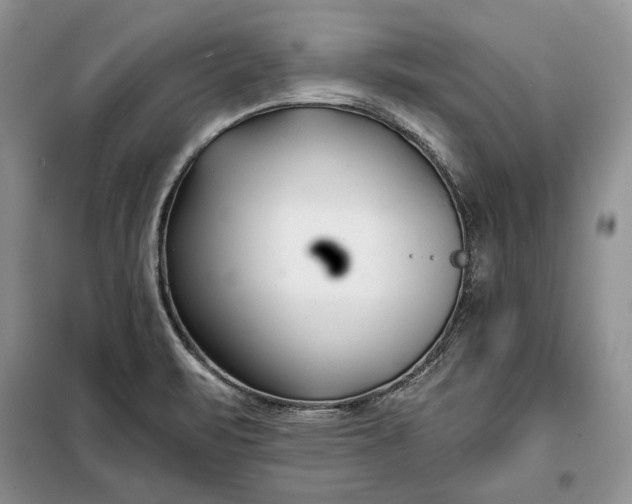 X0000098051471200804111300