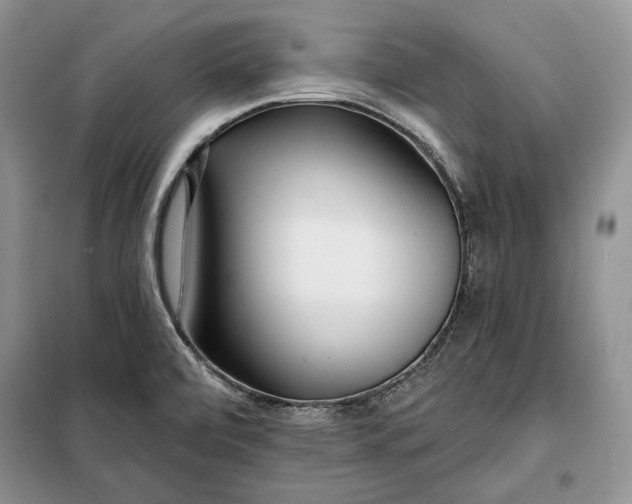 X0000098051472200804111300