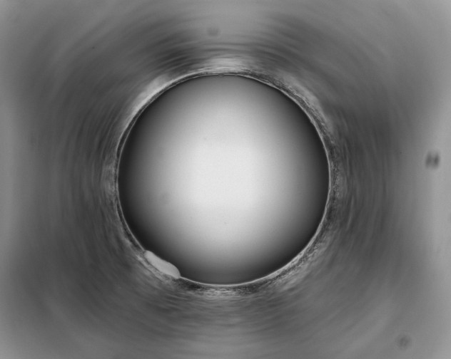 X0000098051473200804111300