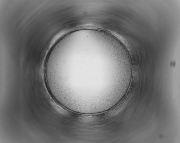 X0000098051474200804111300