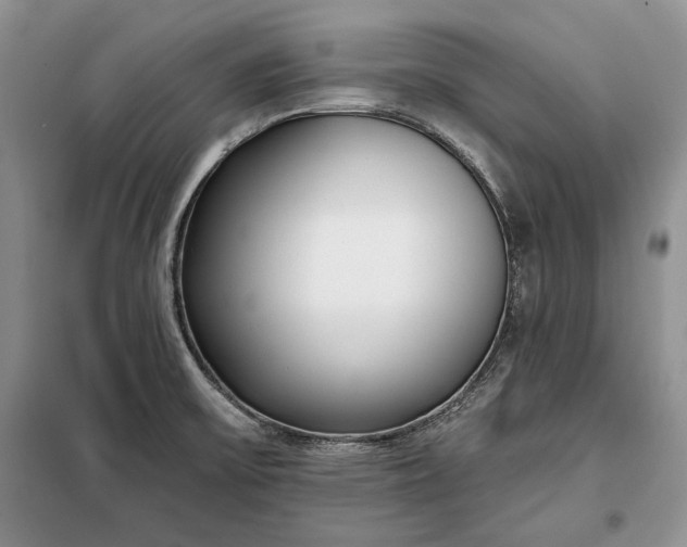 X0000098051475200804111300