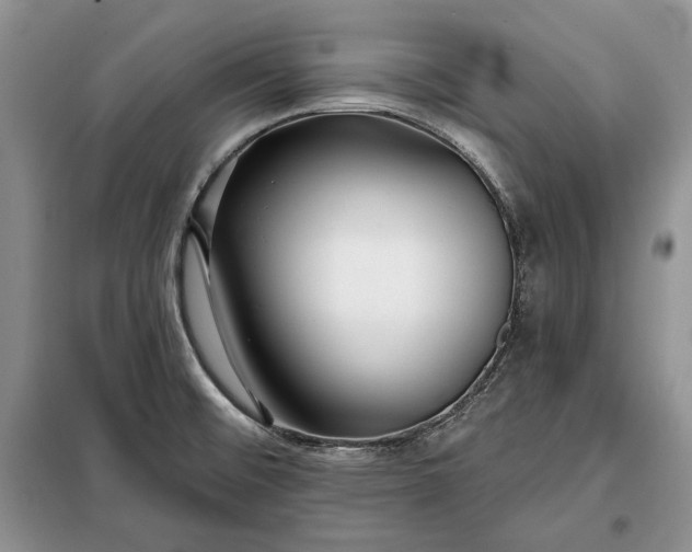 X0000098051476200804111300