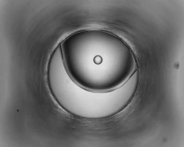 X0000098051477200804111300