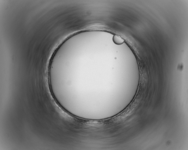 X0000098051478200804111300