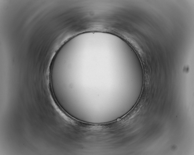 X0000098051479200804111300