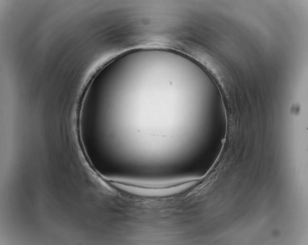 X0000098051480200804111300