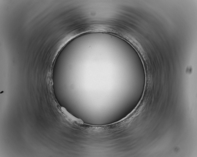 X0000098051481200804111300