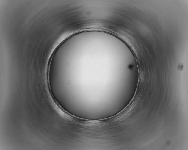 X0000098051482200804111300