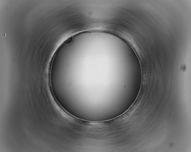 X0000098051483200804111300