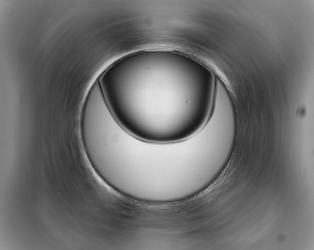 X0000098051484200804111300