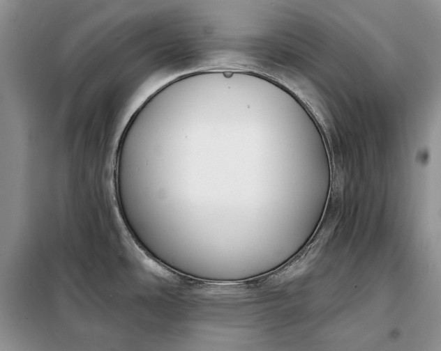 X0000098051486200804111300