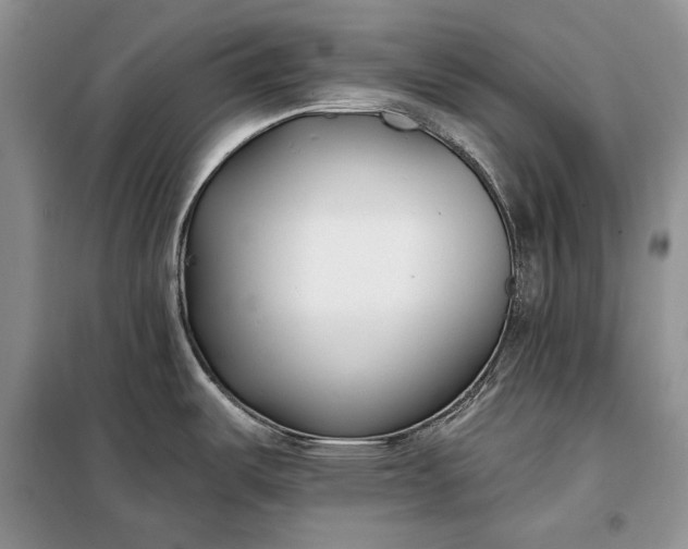 X0000098051487200804111259