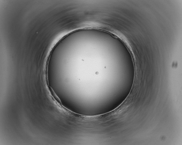 X0000098051488200804111259