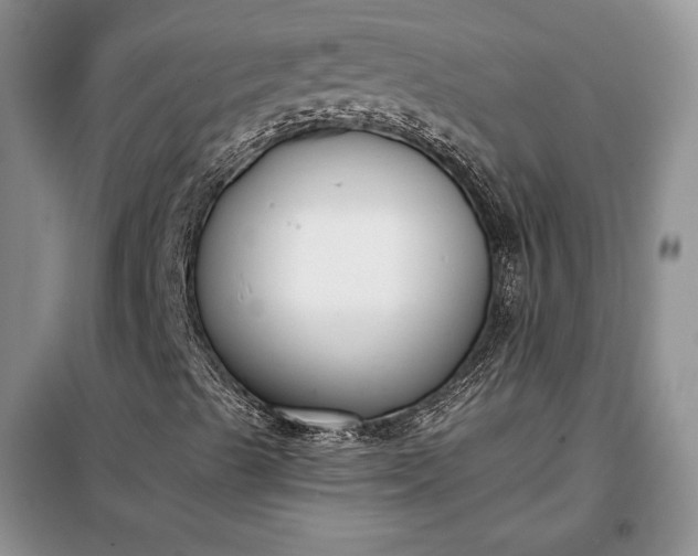 X0000098051489200804111259