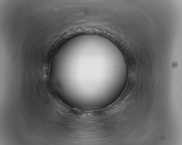 X0000098051490200804111259