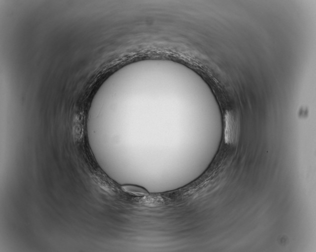 X0000098051491200804111259