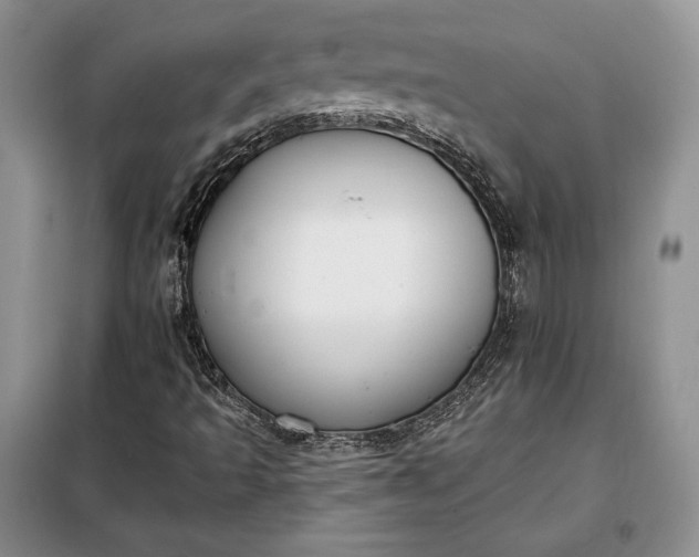 X0000098051493200804111259