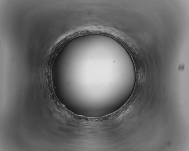 X0000098051494200804111259