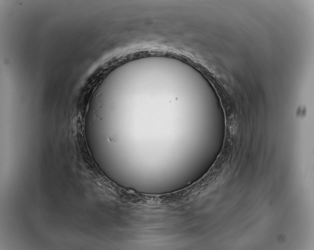 X0000098051495200804111259