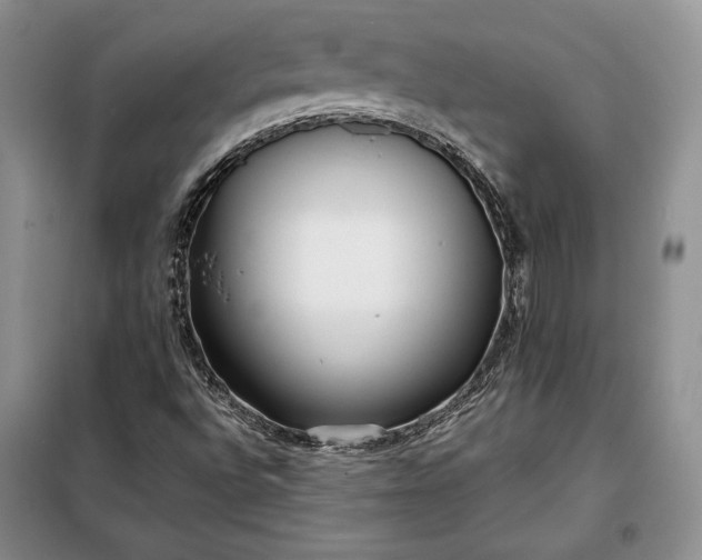 X0000098051496200804111259