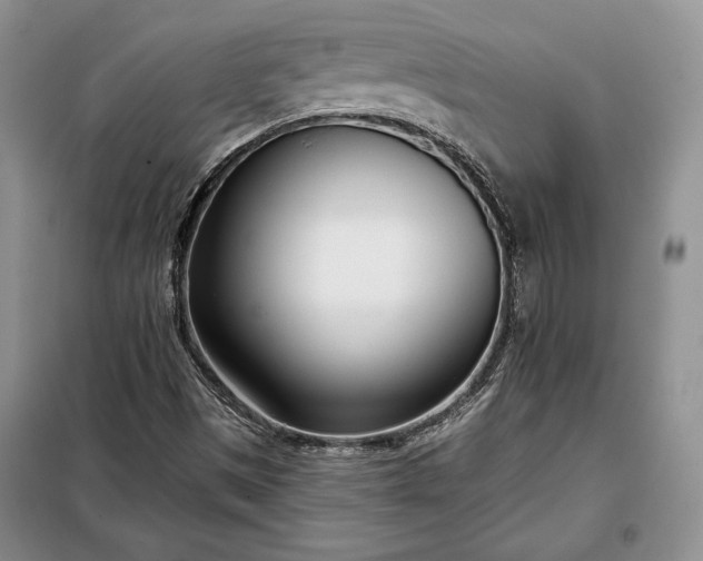 X0000098051497200804111259