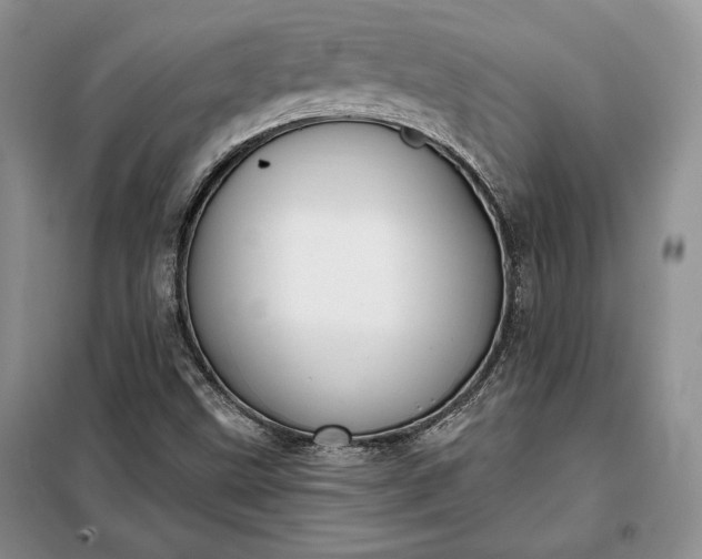 X0000098051499200804111259