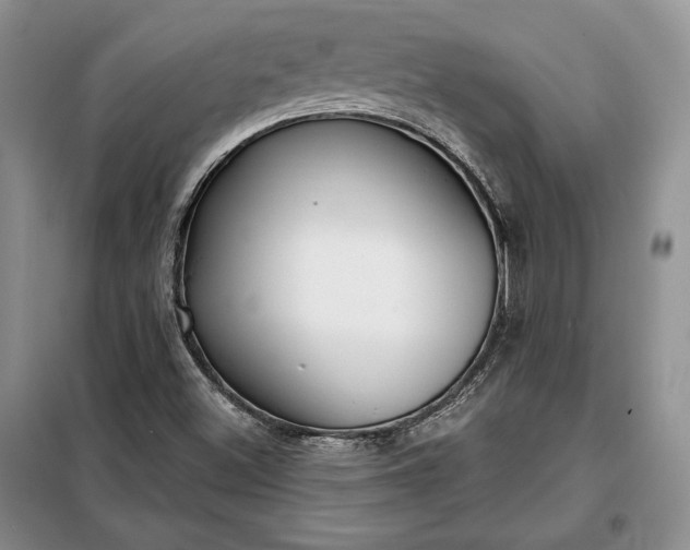 X0000098051500200804111259