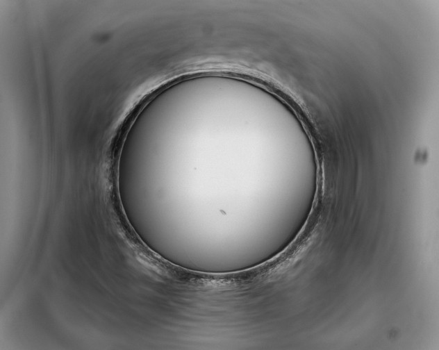 X0000098051501200804111259